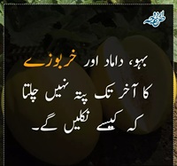 بہو داماد اور خربوزے